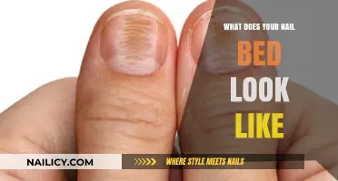 Decoding Nail Bed Health: What Your Nails Reveal About You