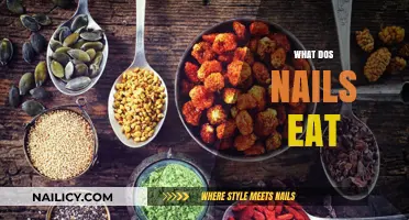 Exploring the Surprising Diet of Nails: What They Consume