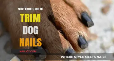 Dremel Grit for Trimming Dog Nails: Choosing the Right One