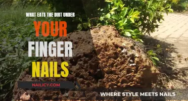 The Dirt on What Eats Under Your Nails
