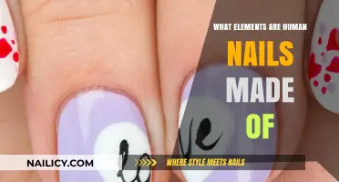 Unveiling the Surprising Composition of Human Nails: A Detailed Breakdown