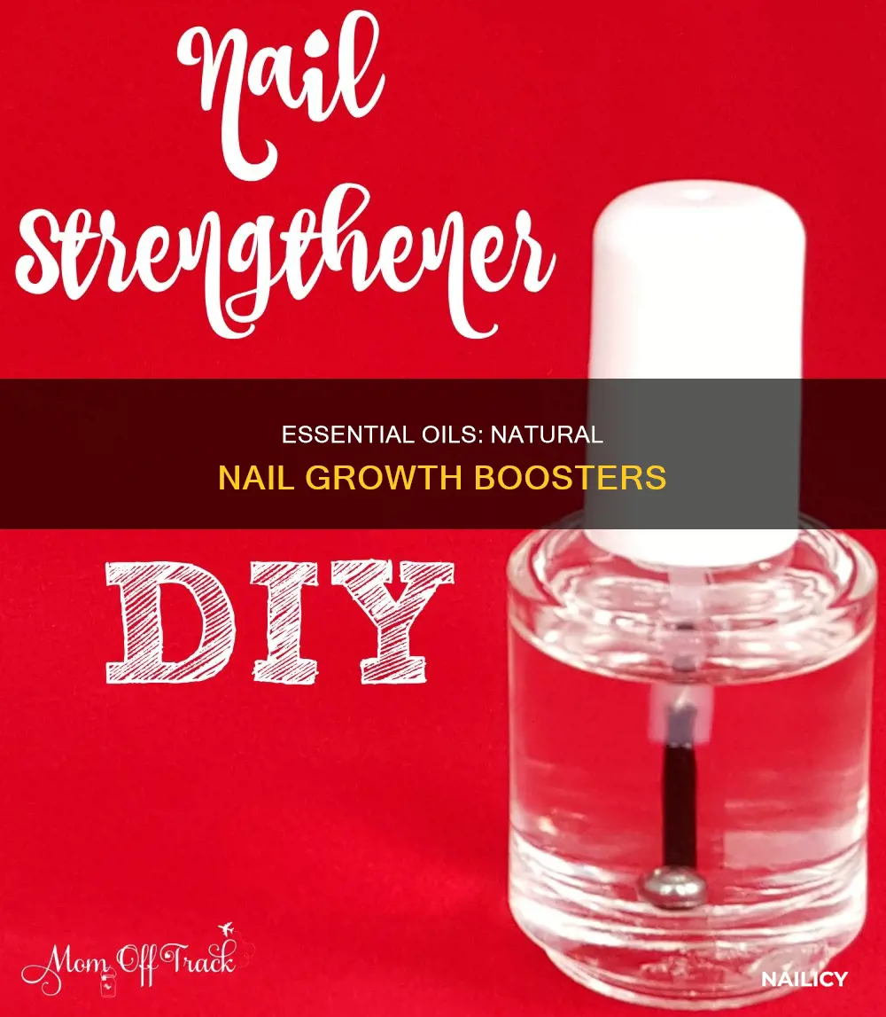 what essential oil helps your nails grow