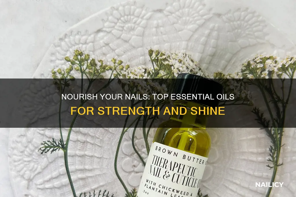 what essential oil is beneficial for nails