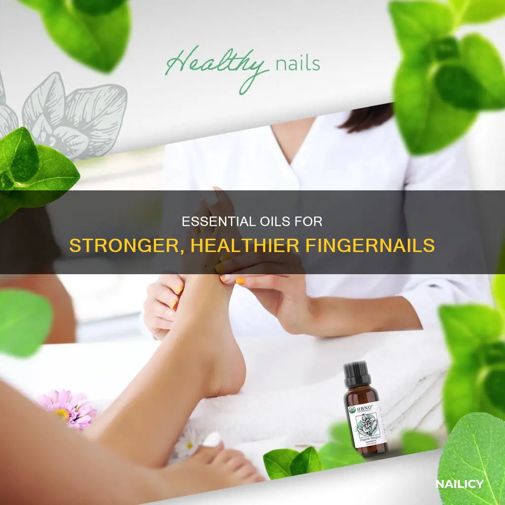 what essential oilisgoodfor growing strong finger nails