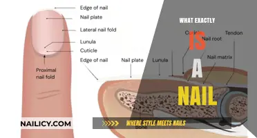 Unveiling the Mysteries: What Exactly Is a Nail?