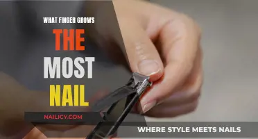 The Fastest-Growing Fingernails: Which Finger Grows the Most?