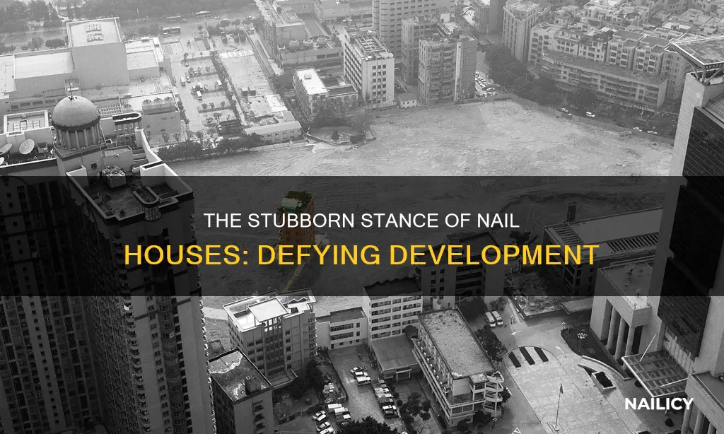 what foes the term nail house mean