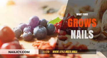 Foods to Grow Your Nails: A Nutrition Guide