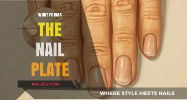 Exploring the Composition and Structure of Human Nail Plates