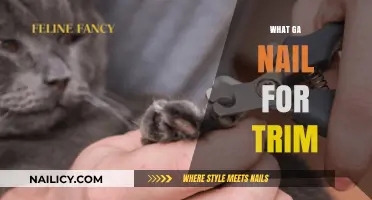 The Perfect GA Nail Trim: A Guide