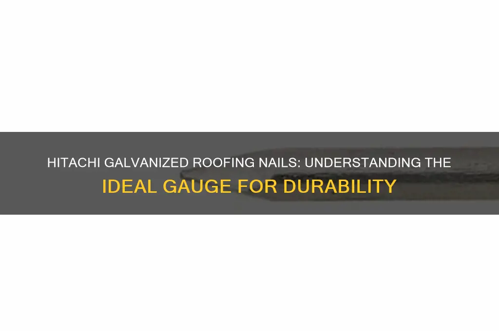 what gauge are hitachi galvanized roofing nails