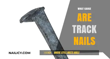 Unveiling the Mystery: What Gauge Are Track Nails?