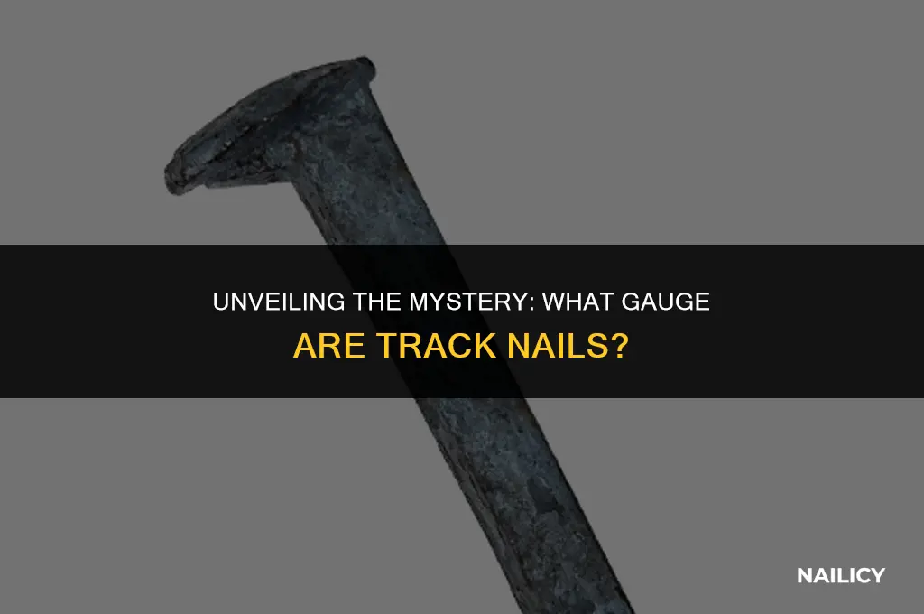 what gauge are track nails
