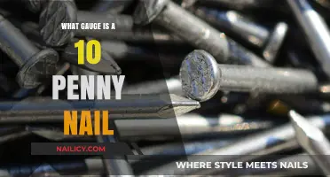 Understanding 10 Penny Nail Gauge: A Comprehensive Guide for Woodworkers