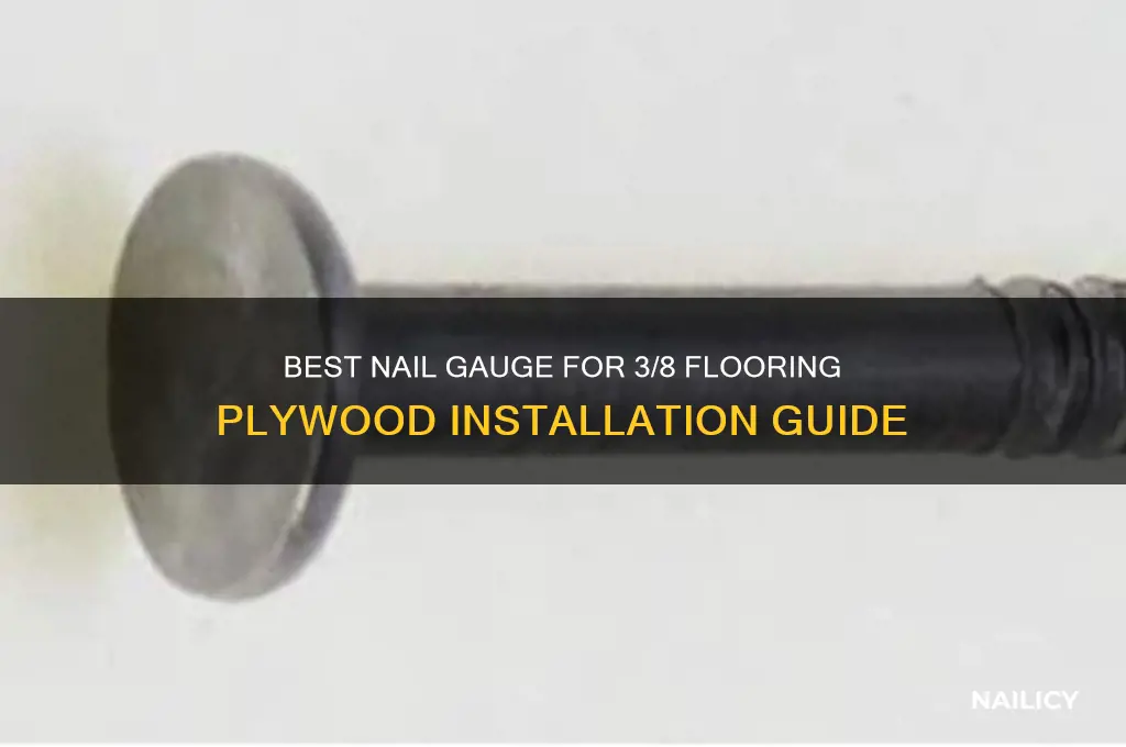 what gauge nail for 3 8 flooring plywood