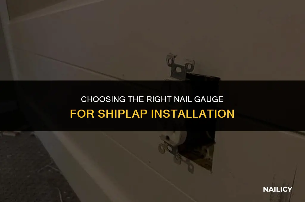 what gauge nail for shiplap