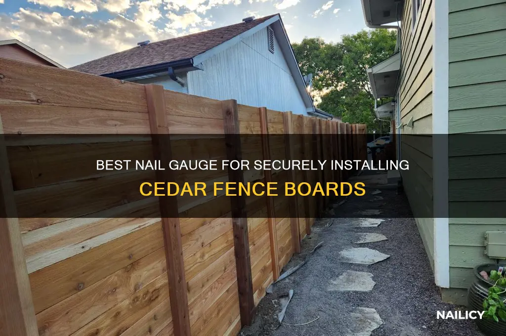 what gauge nails for installing cedar fence boards