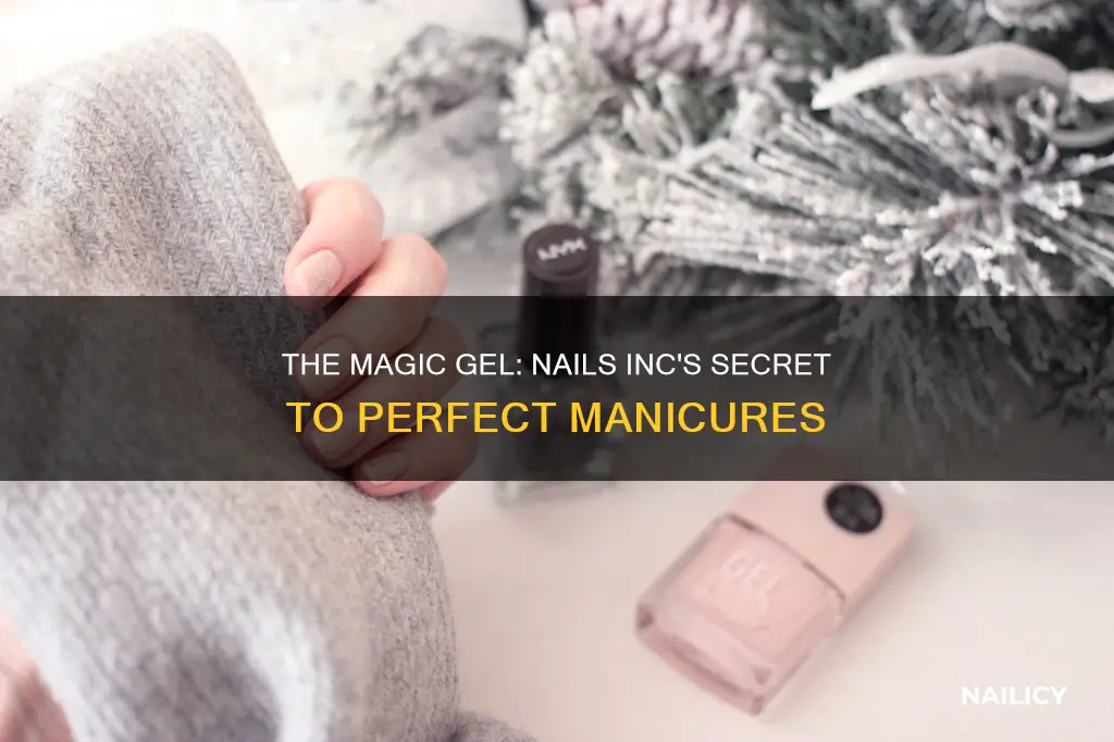 what gel does nails inc use