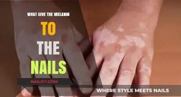 Understanding Melanin's Role in Nail Pigmentation and Health