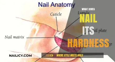 Unlocking the Secrets: What Gives Nails Their Unyielding Hardness?