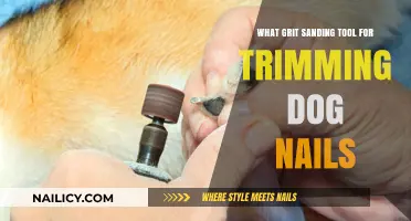 Grit Sanding Tools: The Best Option for Trimming Dog Nails