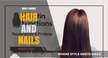 Foods to Eat for Healthy Hair and Nails