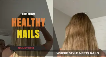 Healthy Nails: The Role of Nutrition and Care