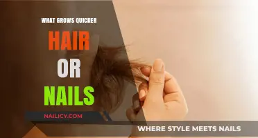 Hair vs Nails: Which Grows Faster?