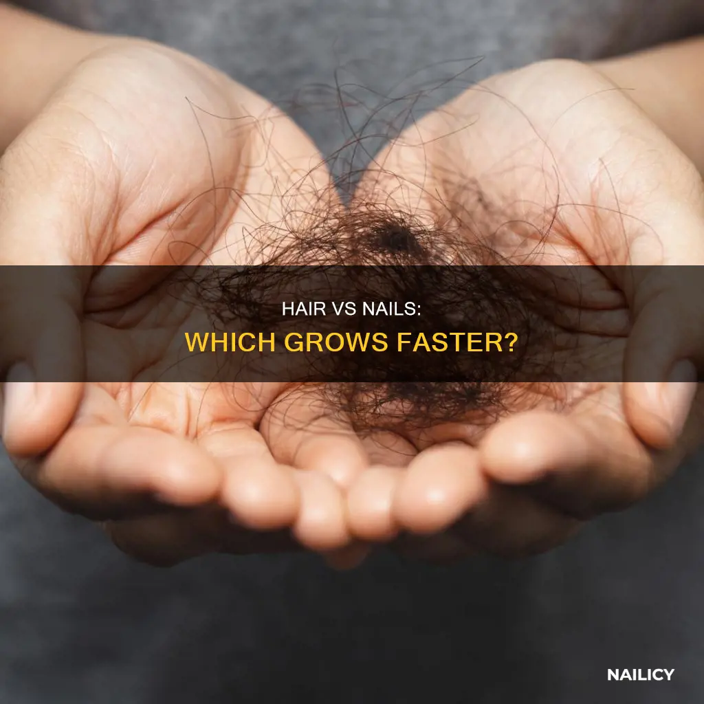 what grows quicker hair or nails