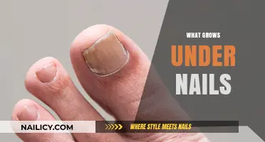 The Dirt on Nails: What's Lurking Beneath?