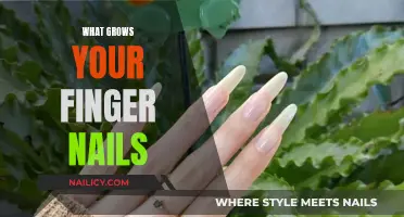 Nail Growth: Unlocking the Secrets to Stronger, Healthier Claws