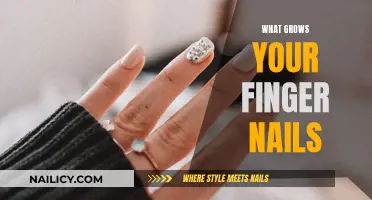 The Science Behind Your Fingernails' Growth
