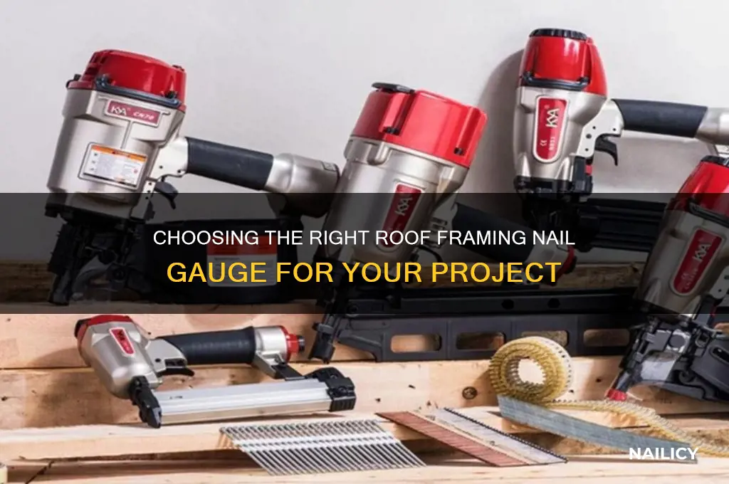 what guage is a roof framing nail