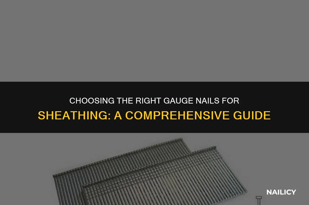 what guage nails for sheathing