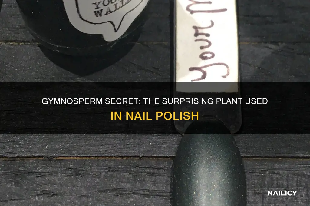 what gymnosperm is used in nail polish