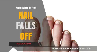 Nail Loss Explained: Causes, Recovery, and Prevention Tips