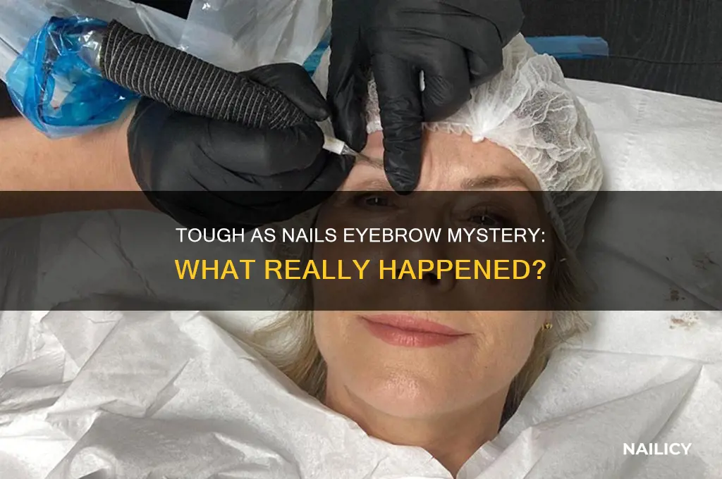 what happen to eyebrows on tough as nails