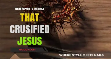 The Fate of Jesus' Crucifixion Nails: A Historical Mystery Unveiled