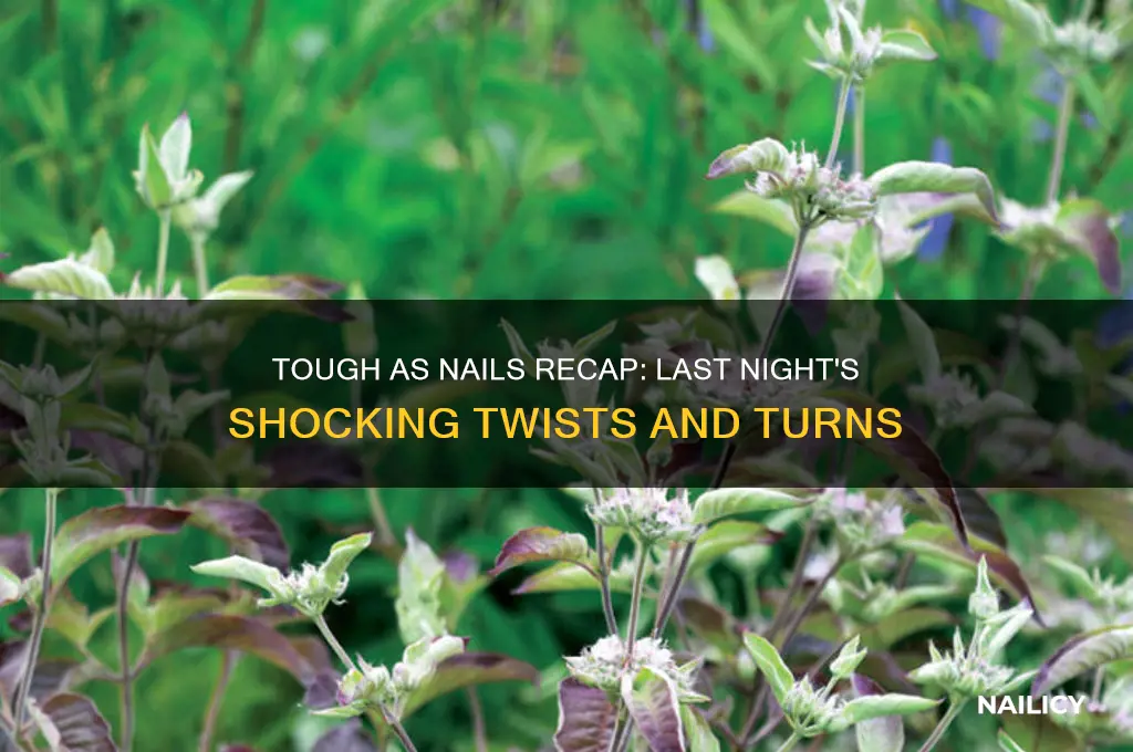 what happened on tough as nails last night