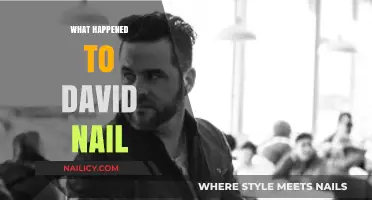 Unraveling the Mystery: What Happened to David Nail?