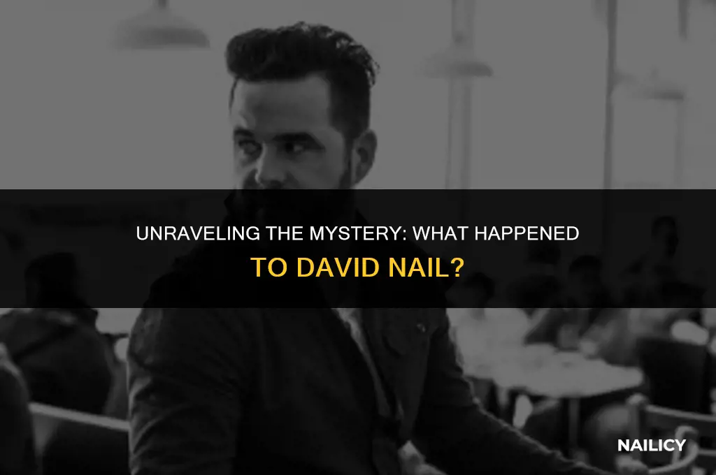 what happened to david nail