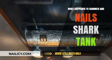 Hammer and Nails Shark Tank: What Happened After the Pitch?
