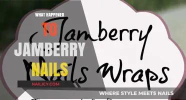 The Rise and Fall of Jamberry Nails: A Cautionary Tale