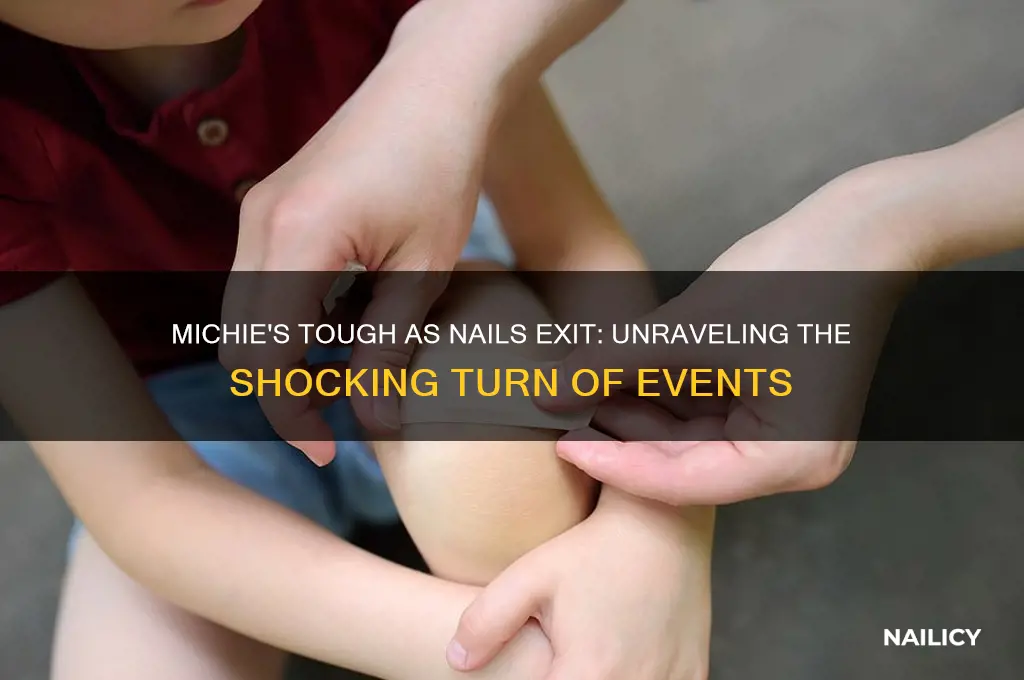 what happened to michie on tough as nails