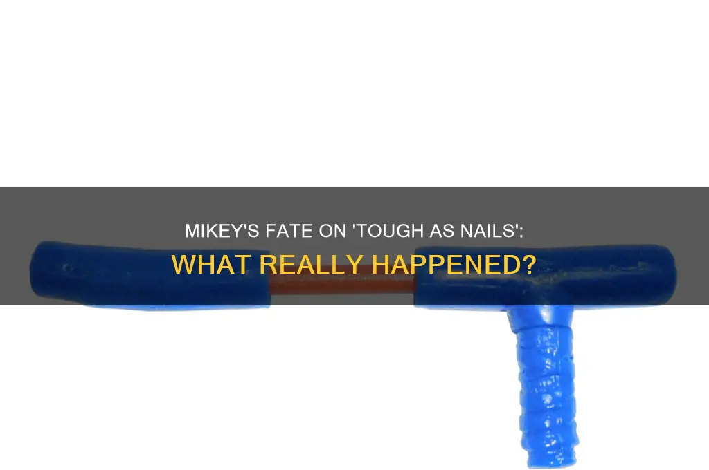 what happened to mikey on tough ad nails