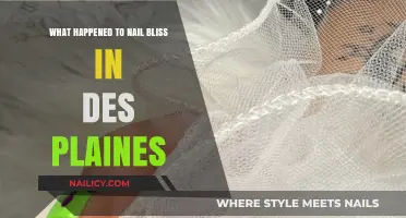 Nail Bliss Des Plaines: Closure Mystery and Community Impact Explained