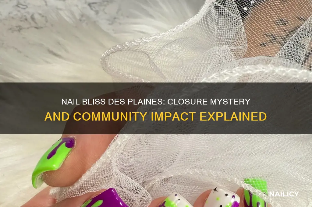 what happened to nail bliss in des plaines