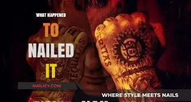 The Rise and Fall of 'Nailed It': A Reality TV Show's Journey