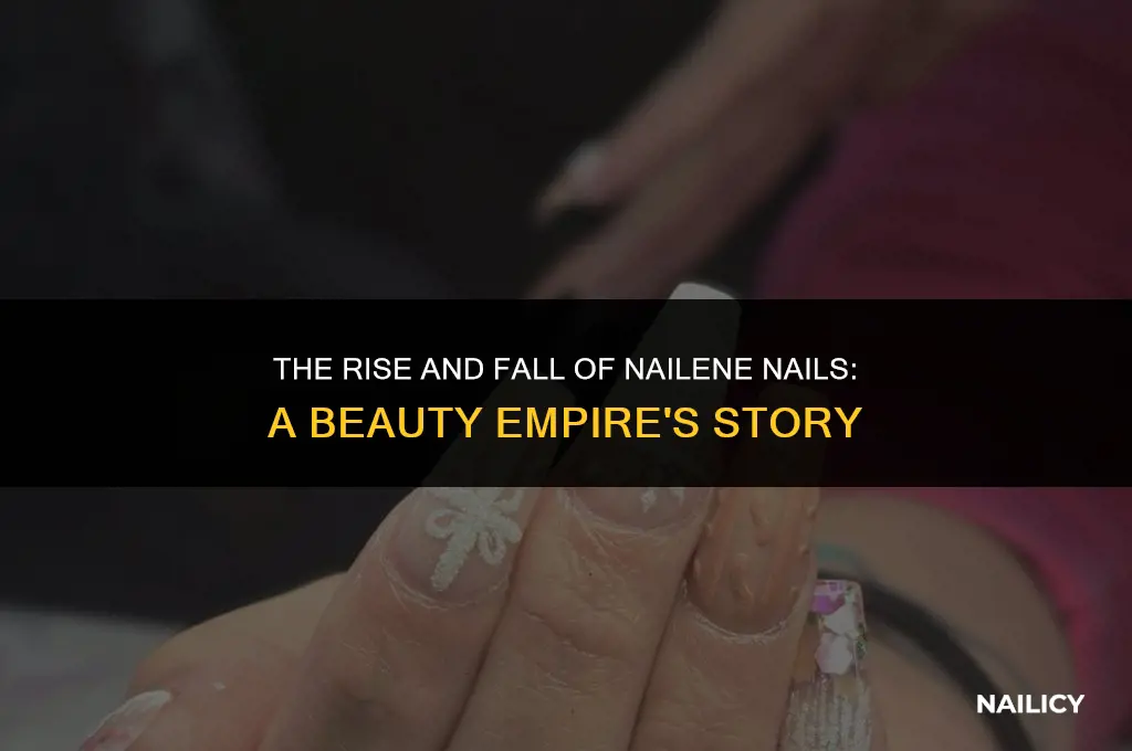 what happened to nailene nails