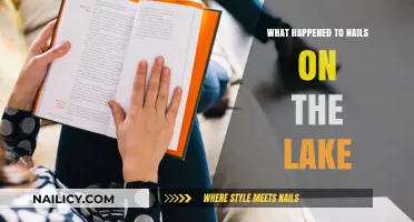 Nails on the Lake Mystery: Unraveling the Strange Disappearance